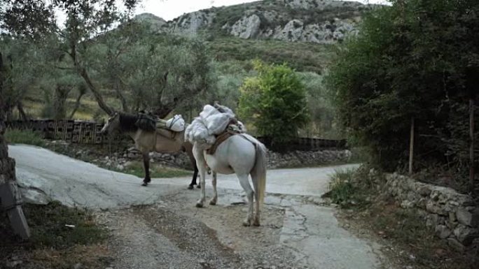 两匹马在一次货物旅行后休息，住在山里的人们的生活很糟糕。动物和货物的运输