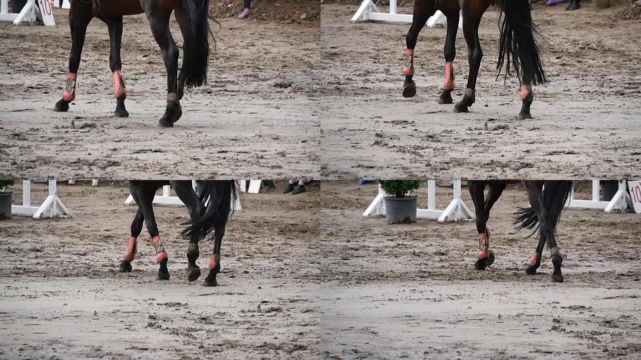 马脚在泥巴上行走。双腿走路的特写踢着潮湿的泥泞地面。慢动作