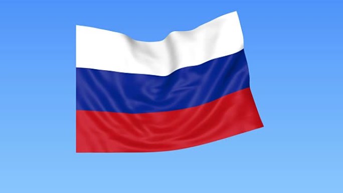挥舞俄罗斯国旗，无缝循环。精确的尺寸，蓝色背景。所有国家的一部分。带有阿尔法的全高清ProRes