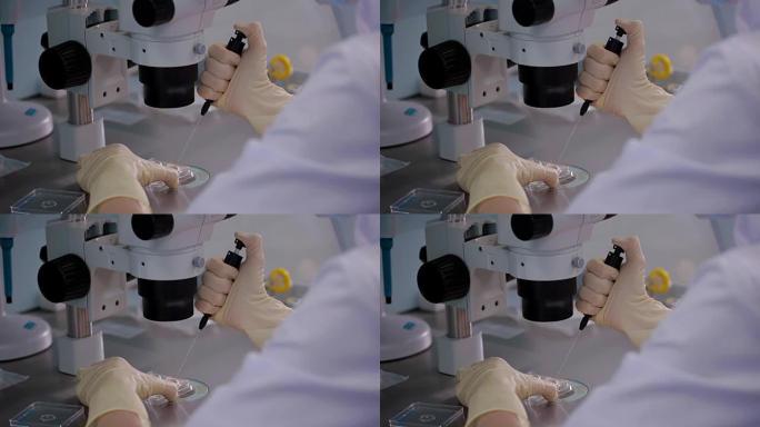 医生使用显微镜使人卵受精