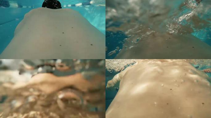蛙泳: 运动员在游泳池游泳 (后视图-动作凸轮)