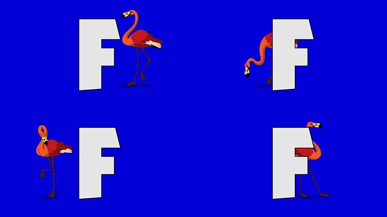 字母F和火烈鸟 (背景)