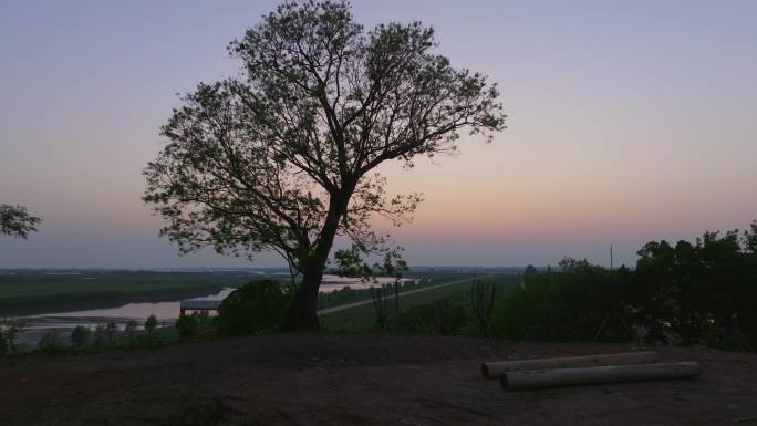 乡村的高地上傍晚余晖下一颗孤独的树
