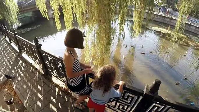 儿童在城镇公园喂鸭子