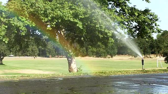 公园洒水，薄雾中有轻微的彩虹