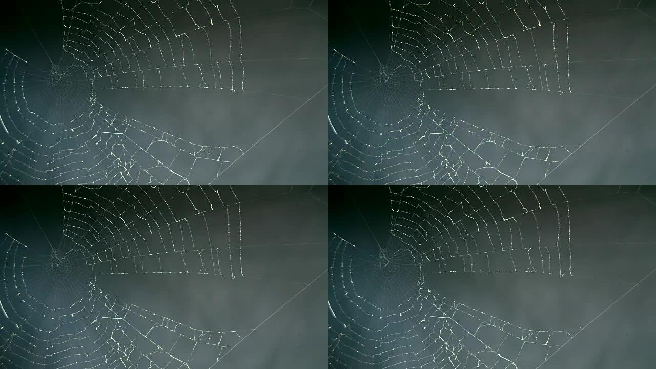 暗背景下的蜘蛛网宏