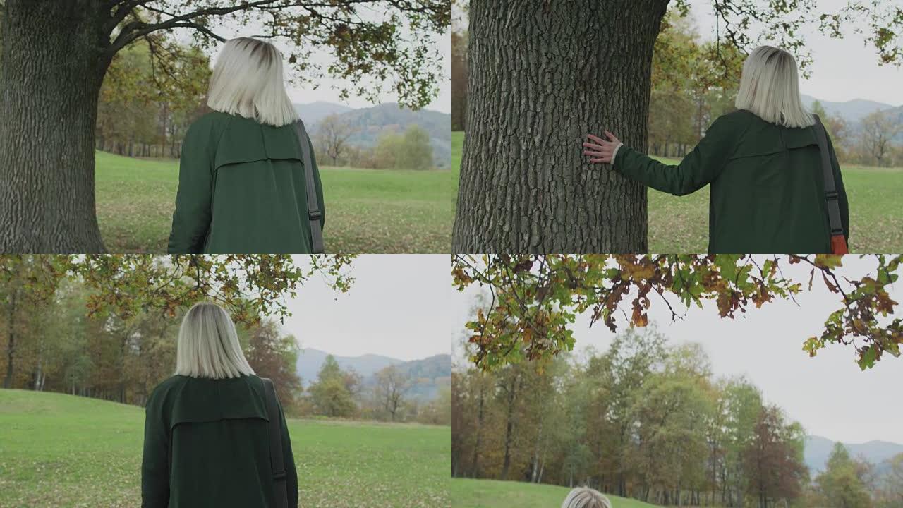 中枪。白人金发女子斯洛莫走向秋天的树林触摸树。在万向节后面。讲故事真正的年轻人独自在秋天的森林中。4