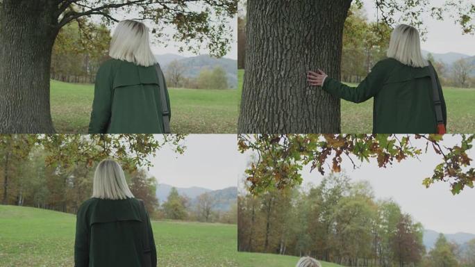 中枪。白人金发女子斯洛莫走向秋天的树林触摸树。在万向节后面。讲故事真正的年轻人独自在秋天的森林中。4