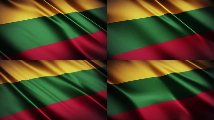 立陶宛逼真的国旗无缝循环摆动动画