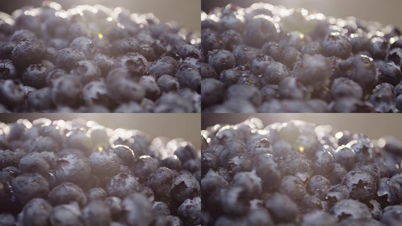 早餐桌上的新鲜蓝莓的特写农场
