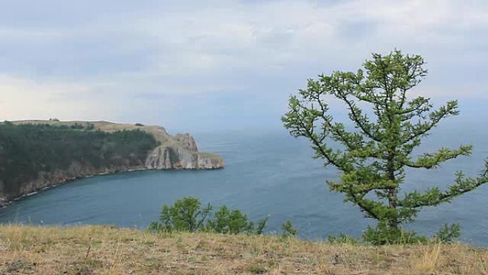 有美丽的湖海岸线景观