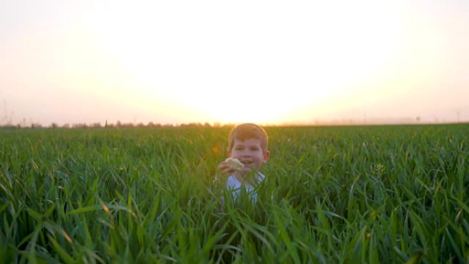 孩子躲在草地上，小男孩在绿色的田野里吃面包，可爱的孩子和面包店在阳光下在大自然中动手