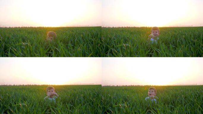 孩子躲在草地上，小男孩在绿色的田野里吃面包，可爱的孩子和面包店在阳光下在大自然中动手