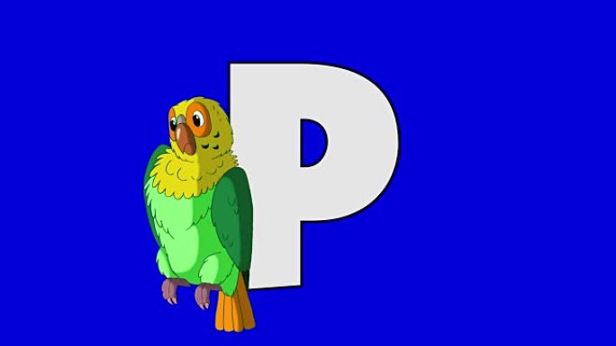 字母P和鹦鹉 (前景)