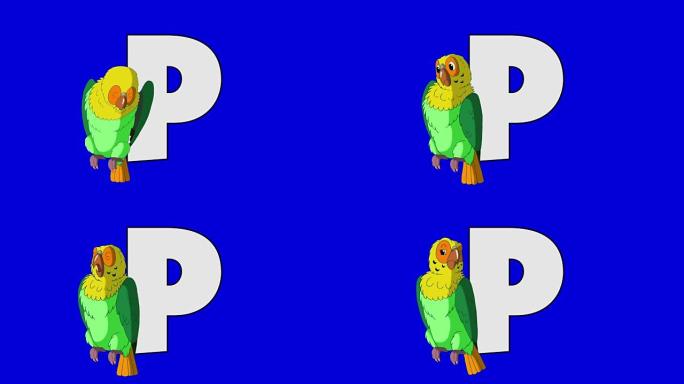字母P和鹦鹉 (前景)