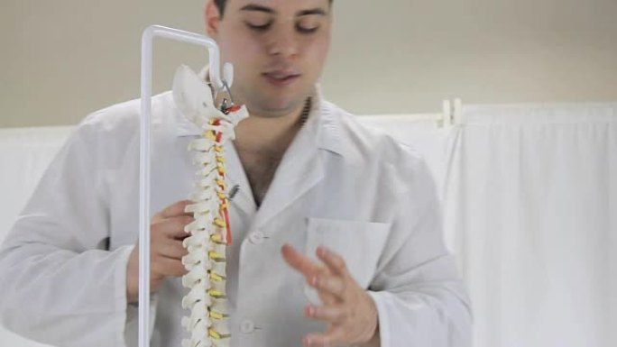 医生讲述了脊椎的工作，人类椎骨的模型