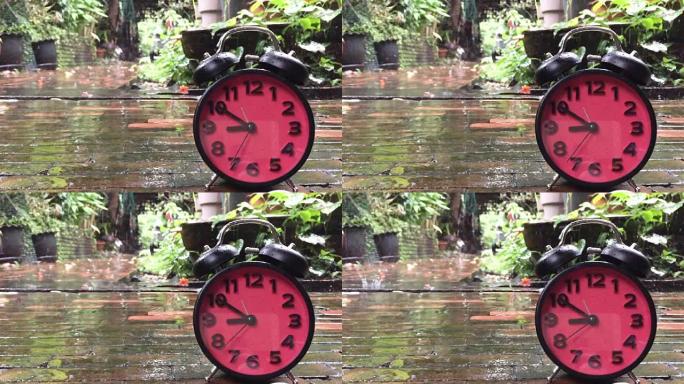 雨天在花园地板上运行时钟库存视频