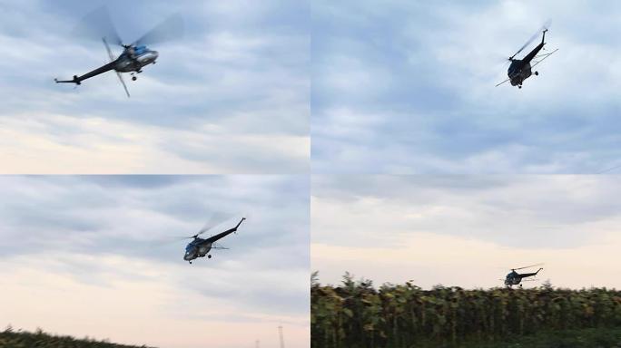 直升机在田间撒下农药。