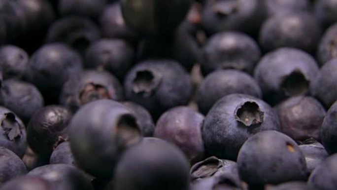 在浆果表面滚动的大多汁蓝莓