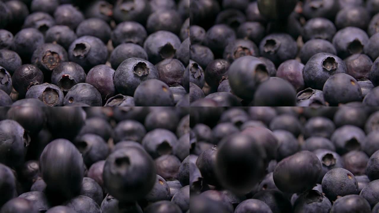 在浆果表面滚动的大多汁蓝莓
