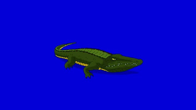 鳄鱼张开嘴。孤立在蓝屏上的动画运动图形