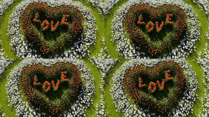 绿色田野上各种各样的心形花朵，象征着情人节和爱情。