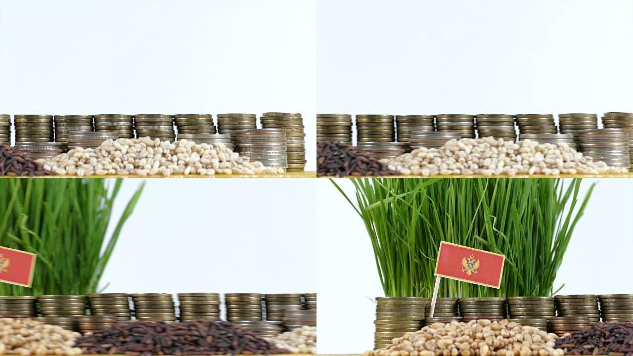 黑山国旗挥舞着一堆硬币和一堆小麦