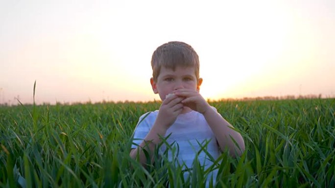 可爱的孩子和面包店在大自然上动手，小男孩在草地上抱着面包，孩子在绿色的田野里吃面包