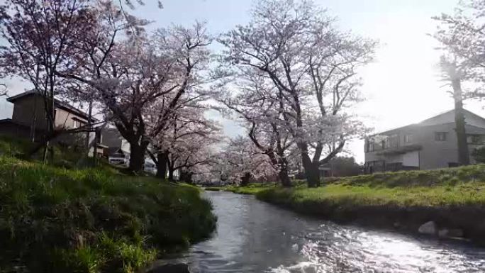 日本福岛川谷