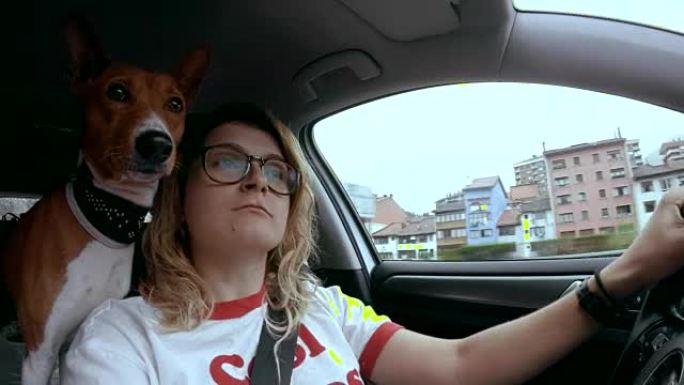 戴眼镜和狗开车的有趣女孩