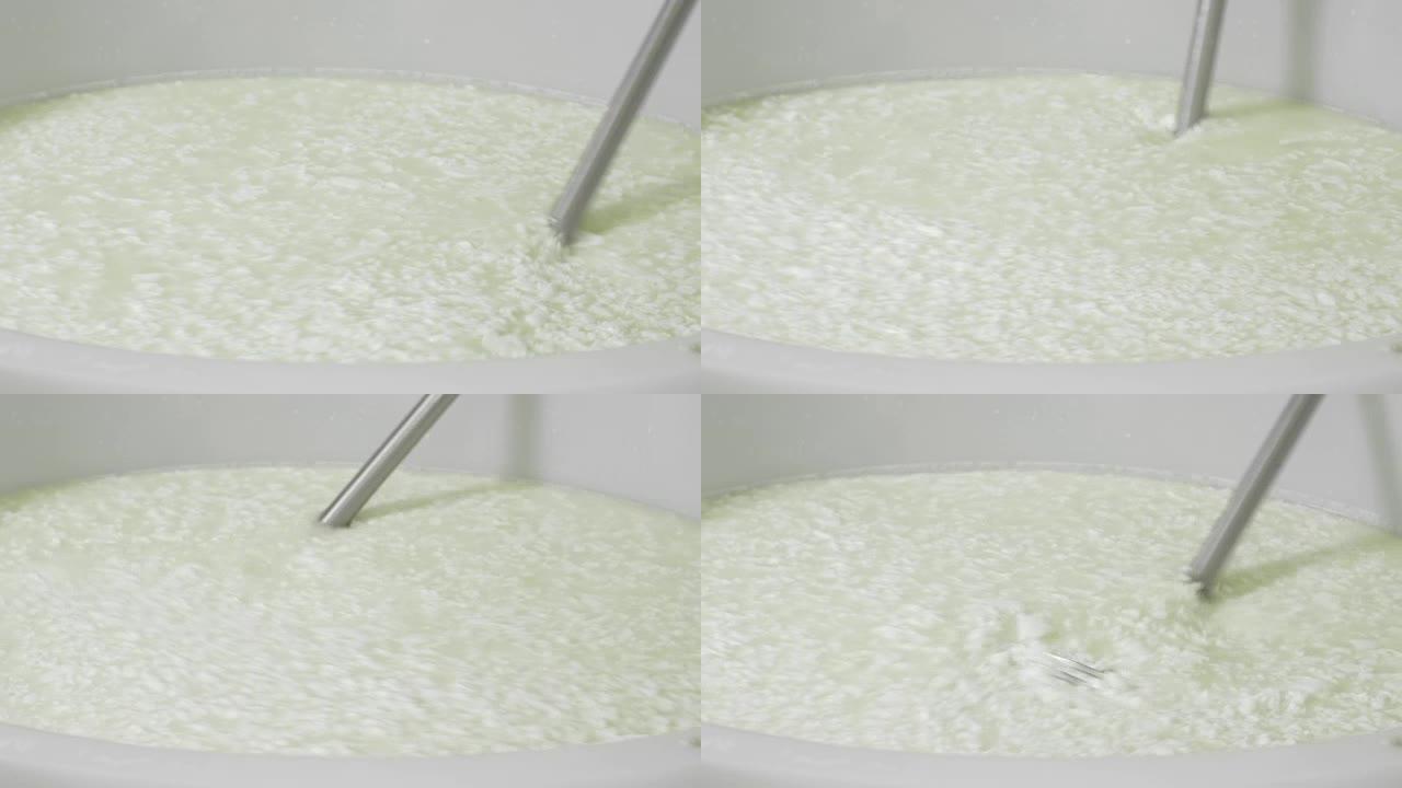 奶酪工厂工人移动发酵牛奶