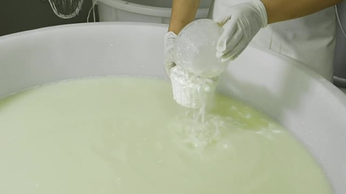 意大利奶酪工厂:生产细干酪、乳清干酪、马苏里拉奶酪的乳品工厂