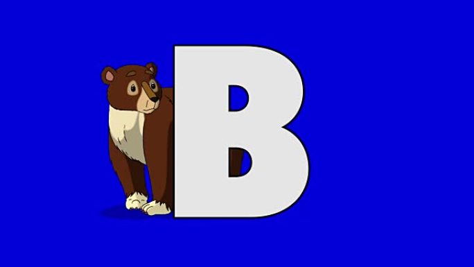 字母B和Bear (背景)