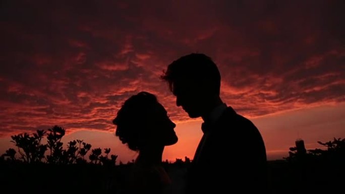结婚夫妇的剪影在日落背景上深情地看着对方