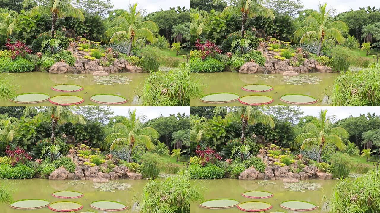 热带花园，带池塘、瀑布、维多利亚雷亚和棕榈树