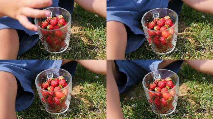 孩子坐在草坪上吃红色浆果。特写手。维多利亚花园浆果