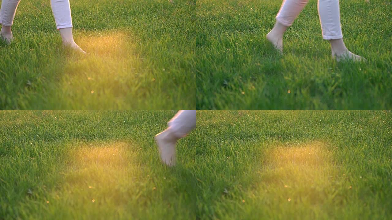 赤脚的女人只在绿色的草地上行走