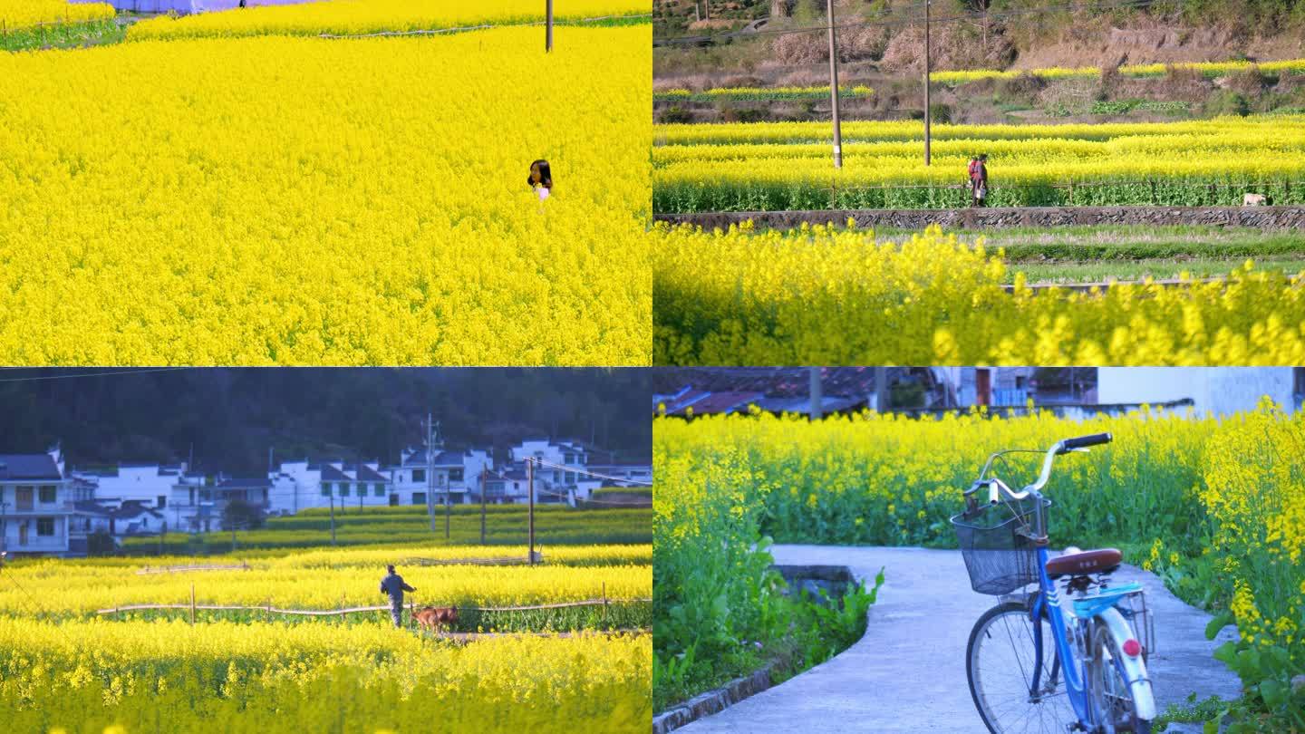 婺源乡村实拍场景