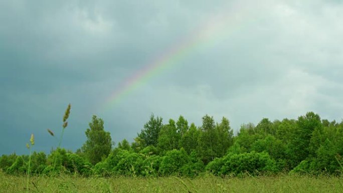 彩虹在阳光普照的林地和草地上的灰色天空上。草在风中飘动。彩虹-由水滴中光的反射折射色散引起的气象现象