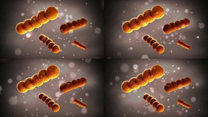 细菌-链球菌-球形革兰氏阳性细菌详细介绍-4k分辨率