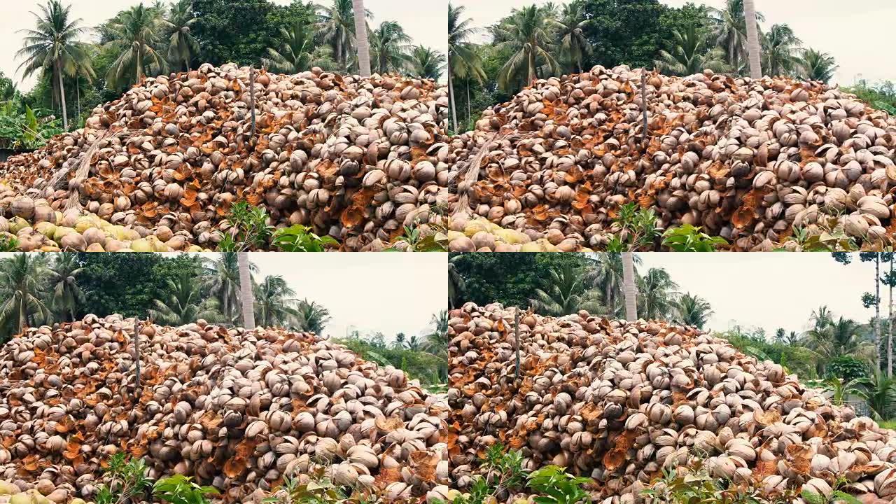 一堆椰子壳