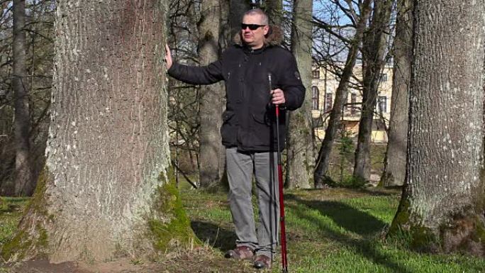 用手杖徒步旅行者在公园的树附近锻炼腿