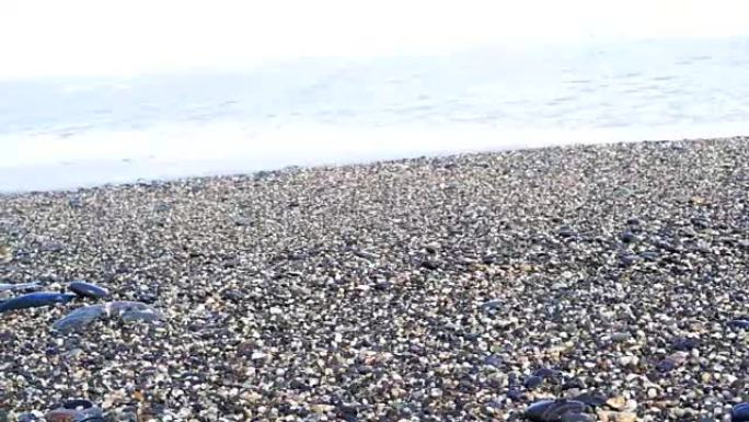 波浪在台湾海利恩的卵石滩海岸上奔跑