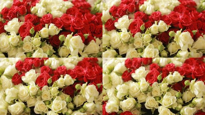 明亮多彩的红色和白色玫瑰花束，特写