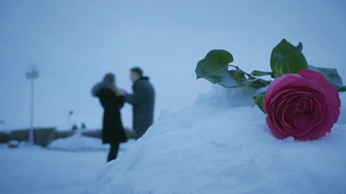 男人和女人在雪堆中的玫瑰背景上发誓