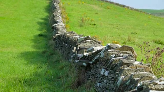 爱尔兰农田上的石栅栏