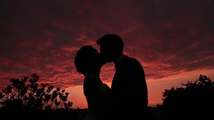 浪漫婚礼情侣的剪影在红色的日落上轻轻亲吻