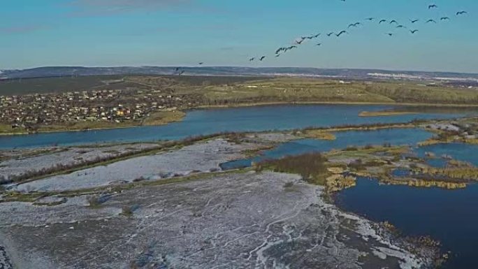 湖中飞鸭的鸟瞰图，慢动作。