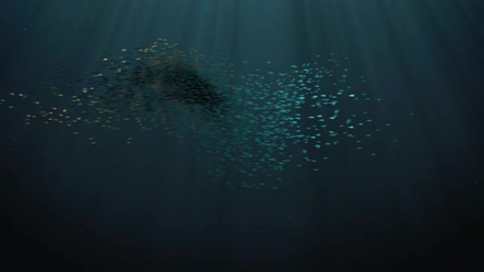 抽象背景动画-水下鱼群