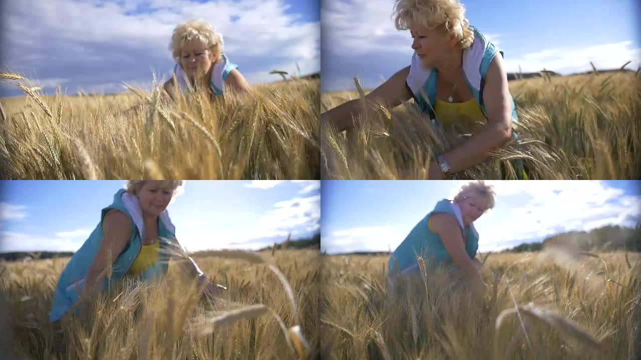 女人在麦金田里，手抚摸麦子，慢动作